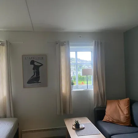 Nyoppusset Apartamento Sogndal